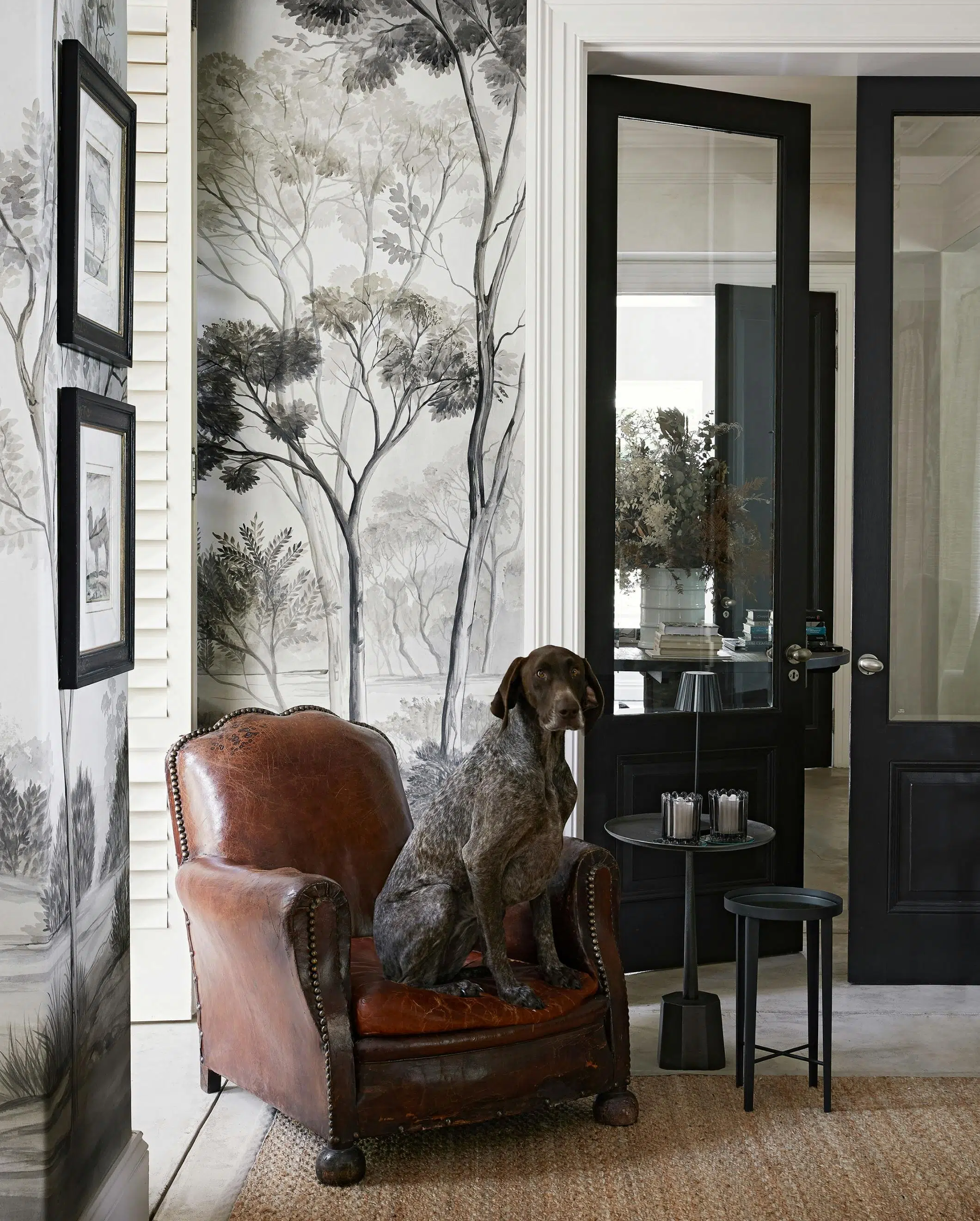 A large, shorthaired pointer dog with a speckled brown coat sits on a  brown leather armchair in front of wallpaper with grayscale illustrations of trees.